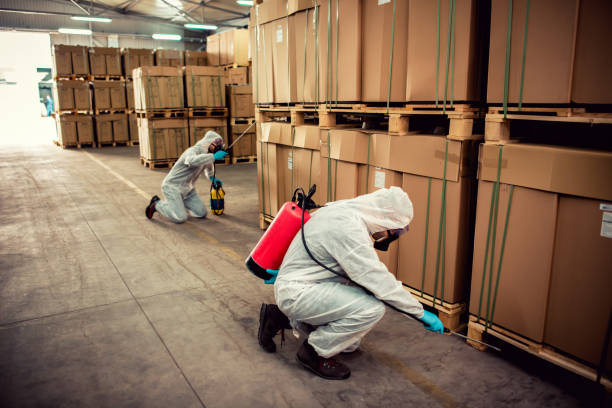 Best Pest Inspection Near Me  in Live Oak, TX