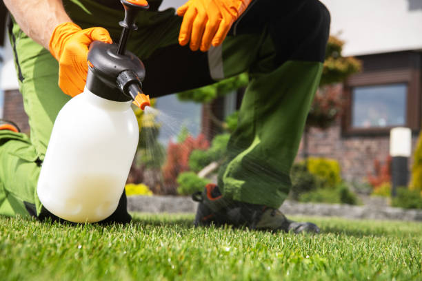 Best Emergency Pest Control  in Live Oak, TX