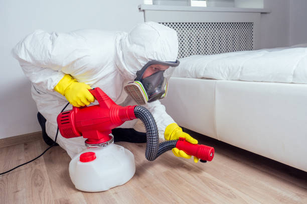 Best Flea Control Services  in Live Oak, TX